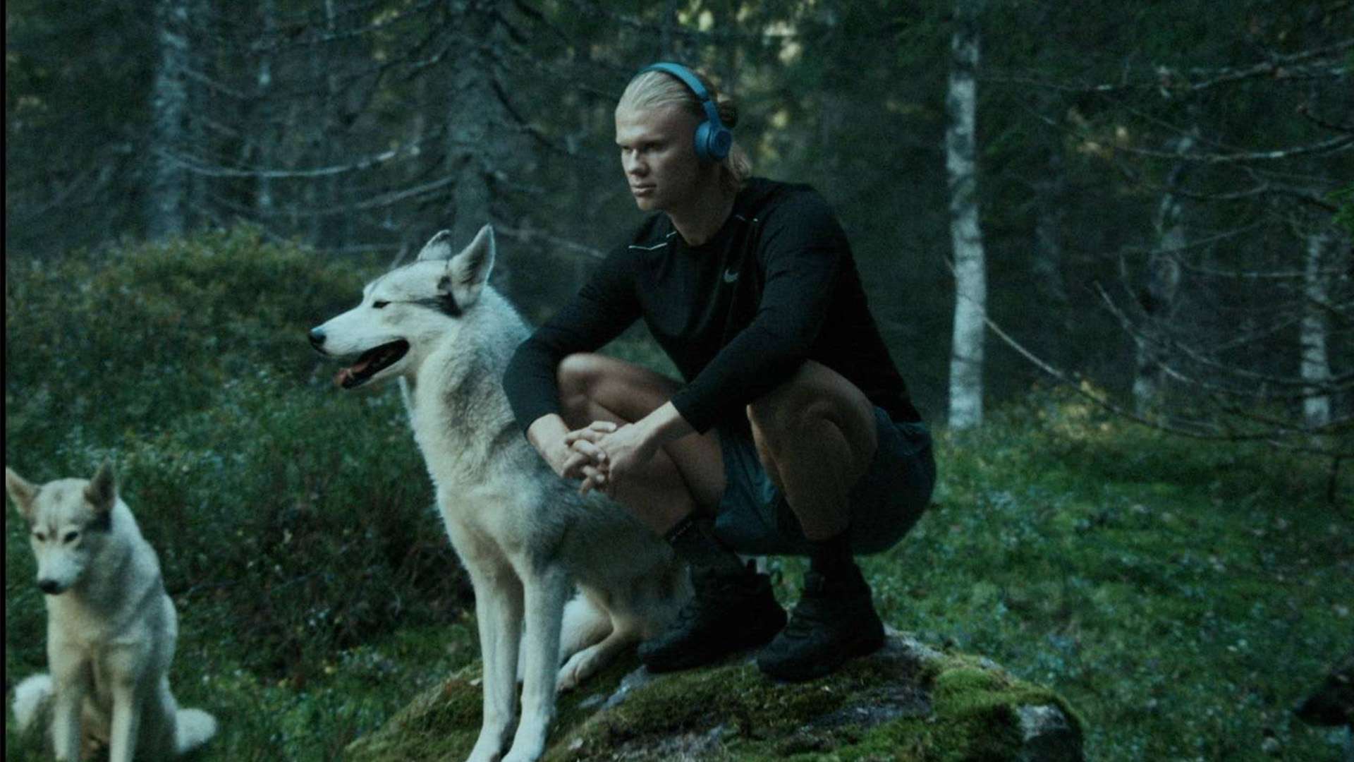 赛不仅需要 赛不仅需要